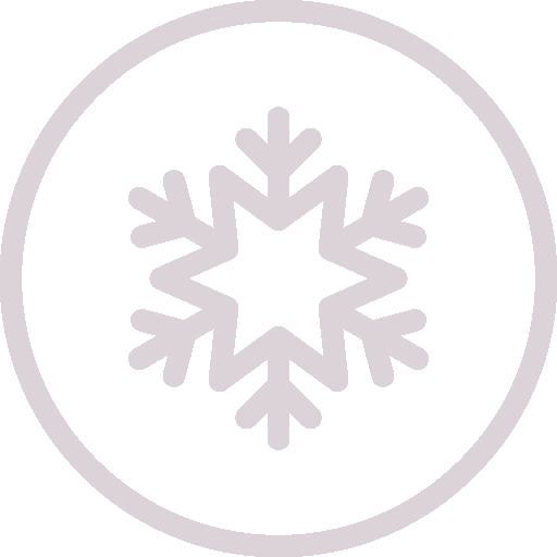 petit logo représentant une particule de neige